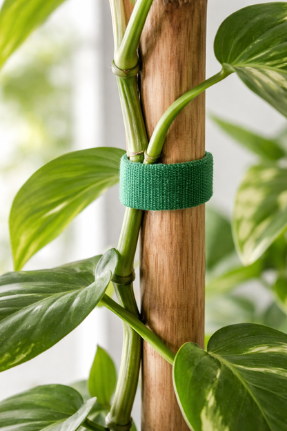 Velcro páska na přichycení rostlin