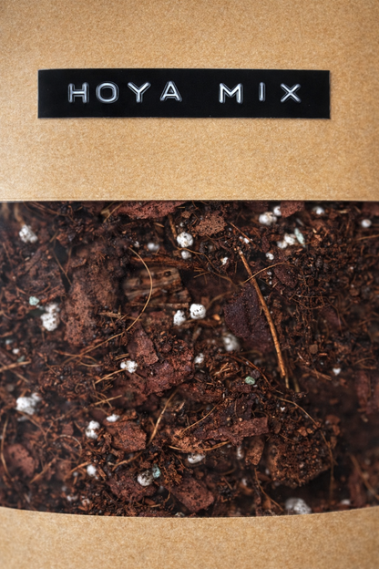 Hoya Mix